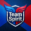 Team Spirit战队蓝红徽记